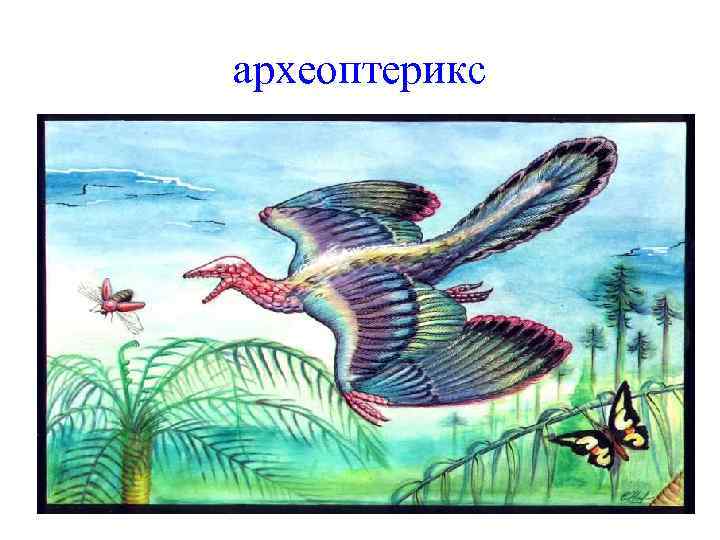 археоптерикс 