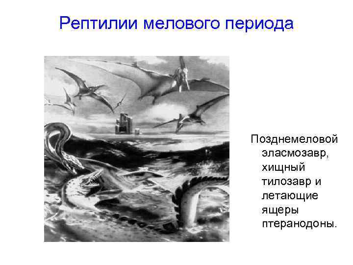 Рептилии мелового периода Позднемеловой эласмозавр, хищный тилозавр и летающие ящеры птеранодоны. 