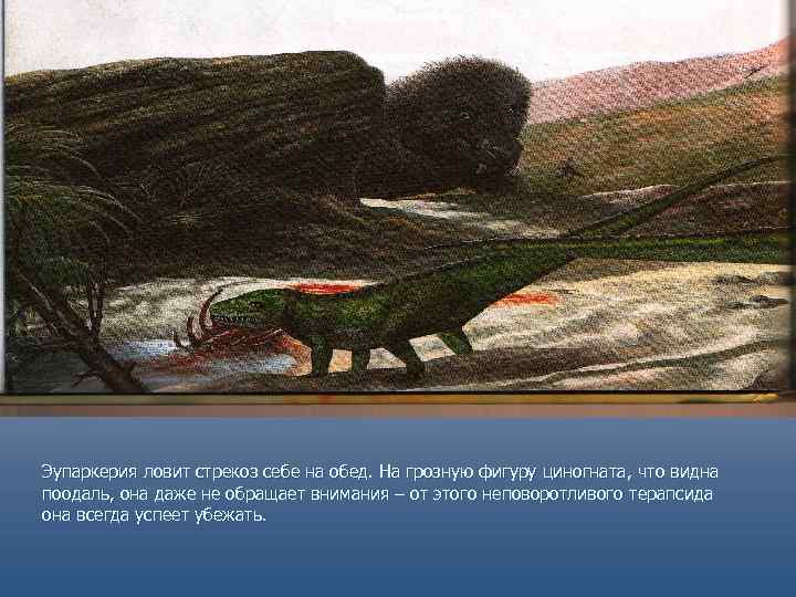 Эупаркерия ловит стрекоз себе на обед. На грозную фигуру циногната, что видна поодаль, она