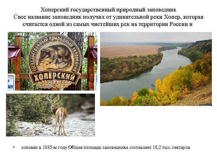 Хоперский государственный природный заповедник Свое название заповедник получил от удивительной реки Хопер, которая считается
