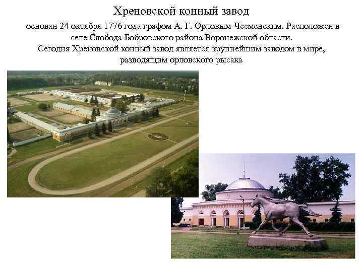 Хреновской конный завод основан 24 октября 1776 года графом А. Г. Орловым-Чесменским. Расположен в