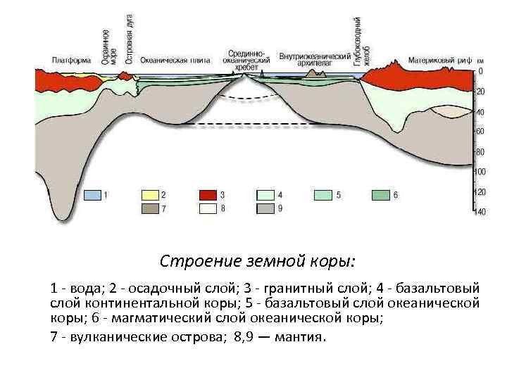  Строение земной коры: 1 вода; 2 осадочный слой; 3 гранитный слой; 4 базальтовый