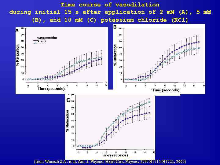Time course of vasodilation during initial 15 s after application of 2 m. M