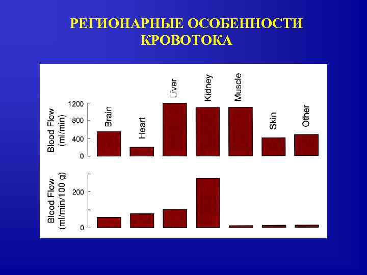 РЕГИОНАРНЫЕ ОСОБЕННОСТИ КРОВОТОКА 