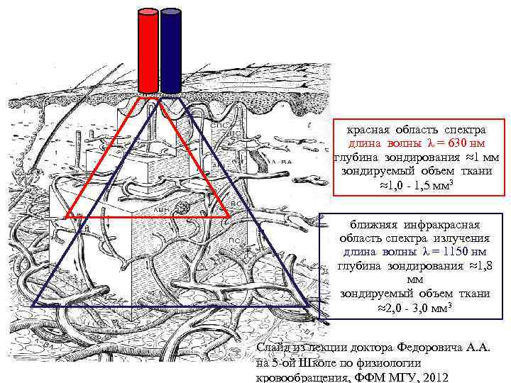 красная область спектра длина волны λ = 630 нм глубина зондирования ≈1 мм зондируемый