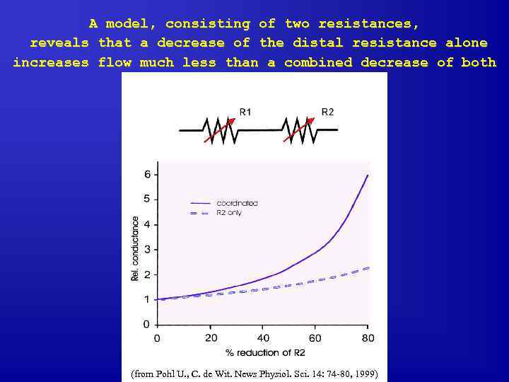 A model, consisting of two resistances, reveals that a decrease of the distal resistance