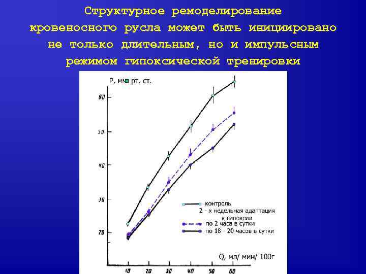 Структурное ремоделирование кровеносного русла может быть инициировано не только длительным, но и импульсным режимом