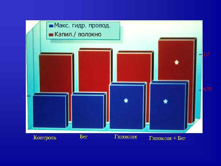 1, 5 0, 75 1 Контроль Бег Гипоксия + Бег 