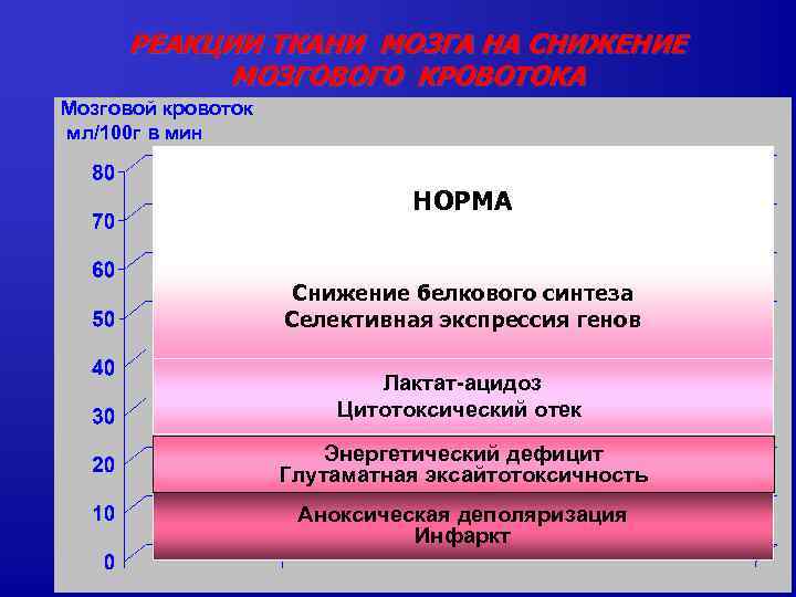 РЕАКЦИИ ТКАНИ МОЗГА НА СНИЖЕНИЕ МОЗГОВОГО КРОВОТОКА Мозговой кровоток мл/100 г в мин НОРМА