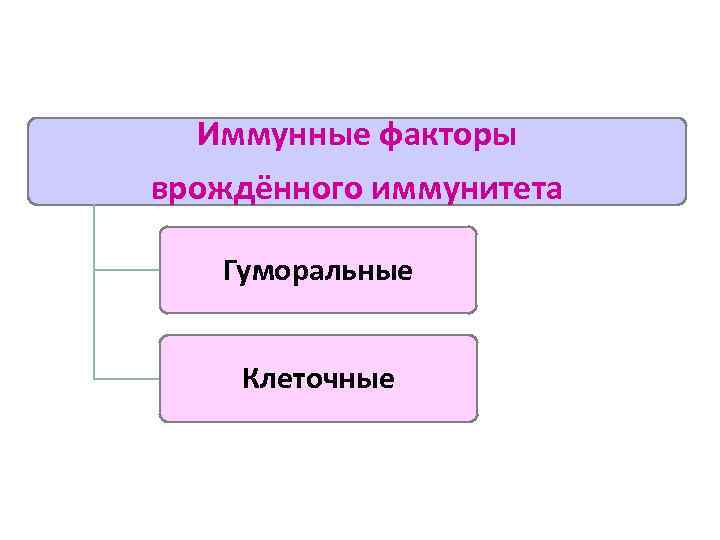 Иммунные факторы врождённого иммунитета Гуморальные Клеточные 