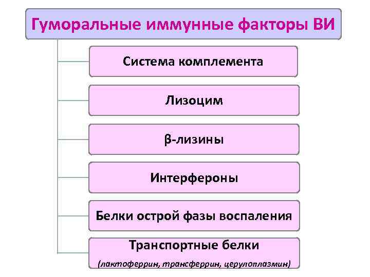 Гуморальные иммунные факторы ВИ Система комплемента Лизоцим β-лизины Интерфероны Белки острой фазы воспаления Транспортные