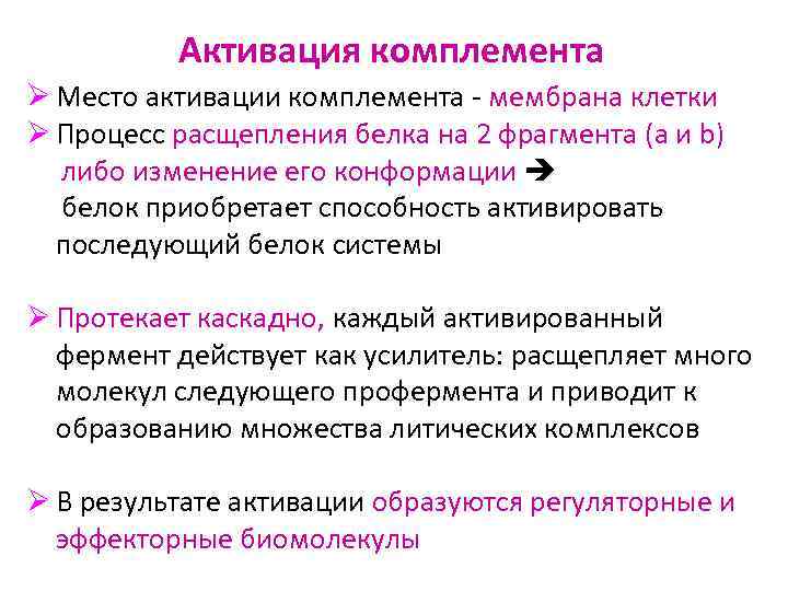 Активация комплемента Ø Место активации комплемента - мембрана клетки Ø Процесс расщепления белка на