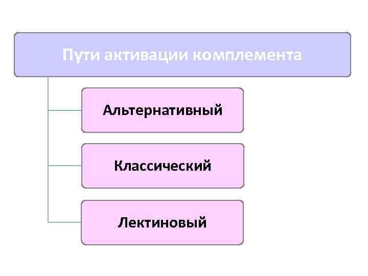 Пути активации комплемента Альтернативный Классический Лектиновый 