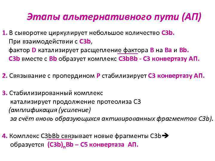 Этапы альтернативного пути (АП) 1. В сыворотке циркулирует небольшое количество С 3 b. При