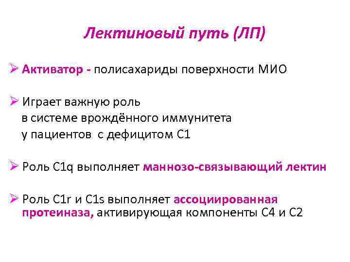 Лектиновый путь (ЛП) Ø Активатор - полисахариды поверхности МИО Ø Играет важную роль в