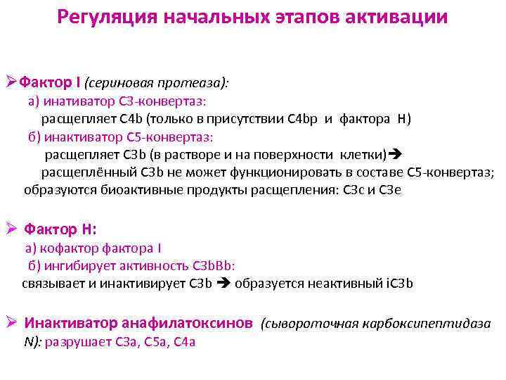 Регуляция начальных этапов активации ØФактор I (сериновая протеаза): а) инативатор С 3 -конвертаз: расщепляет