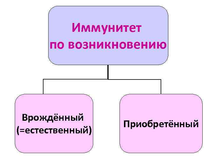 Иммунитет по возникновению Врождённый (=естественный) Приобретённый 