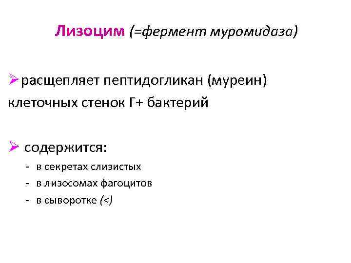 Лизоцим (=фермент муромидаза) Ø расщепляет пептидогликан (муреин) клеточных стенок Г+ бактерий Ø содержится: -