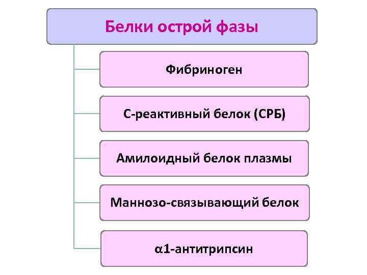 Белки острой фазы Фибриноген С-реактивный белок (СРБ) Амилоидный белок плазмы Маннозо-связывающий белок α 1