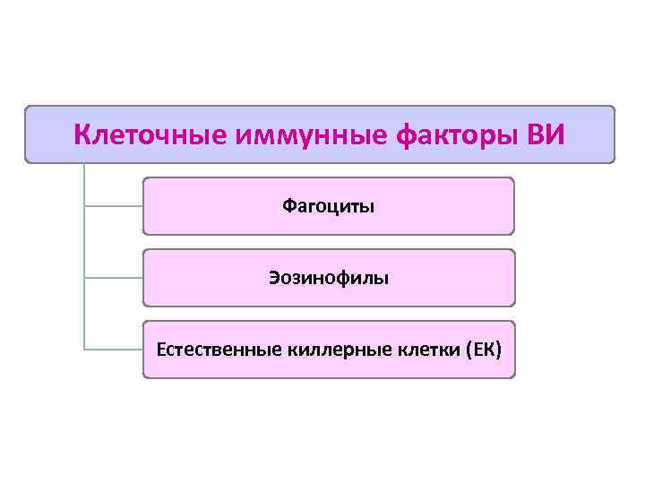 Клеточные иммунные факторы ВИ Фагоциты Эозинофилы Естественные киллерные клетки (ЕК) 