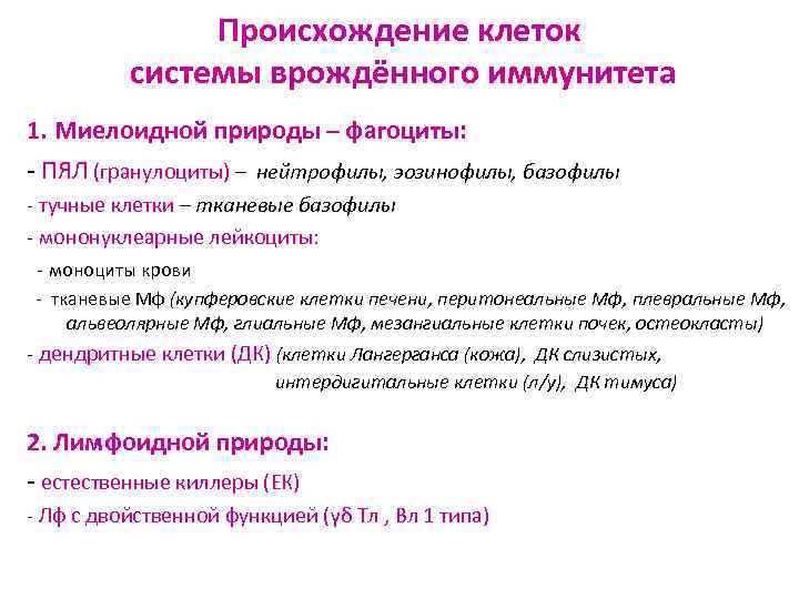 Происхождение клеток системы врождённого иммунитета 1. Миелоидной природы – фагоциты: - ПЯЛ (гранулоциты) –