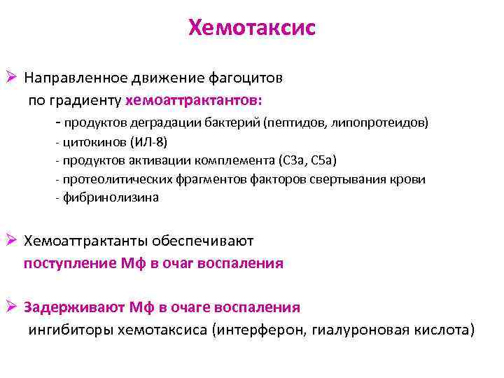 Хемотаксис Ø Направленное движение фагоцитов по градиенту хемоаттрактантов: - продуктов деградации бактерий (пептидов, липопротеидов)