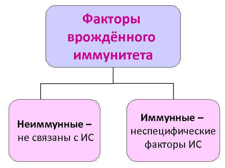 Факторы врождённого иммунитета Неиммунные – не связаны с ИС Иммунные – неспецифические факторы ИС