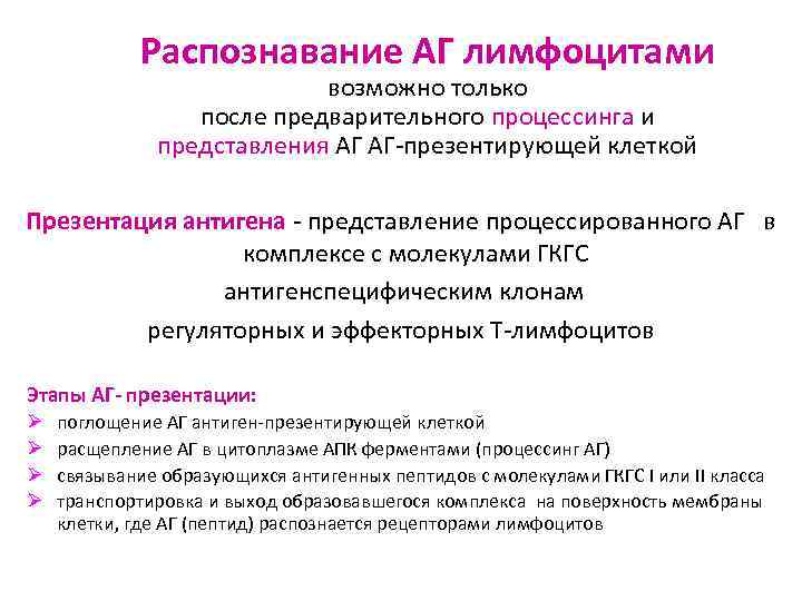 Распознавание АГ лимфоцитами возможно только после предварительного процессинга и представления АГ АГ-презентирующей клеткой Презентация