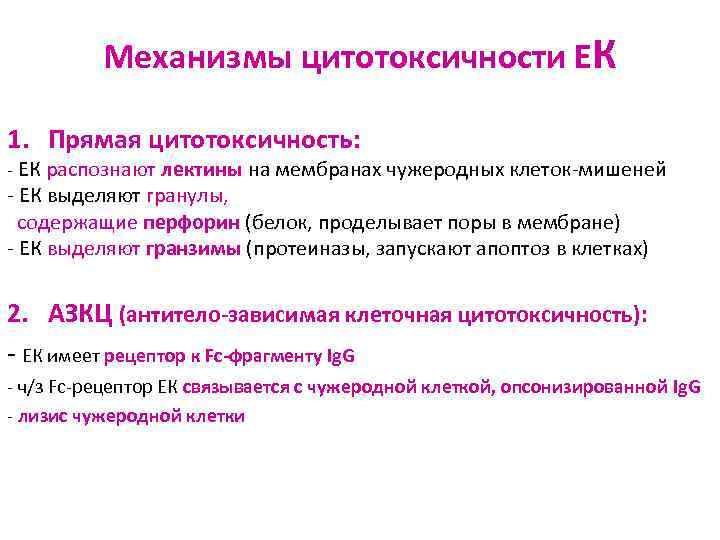 Механизмы цитотоксичности ЕК 1. Прямая цитотоксичность: - ЕК распознают лектины на мембранах чужеродных клеток-мишеней