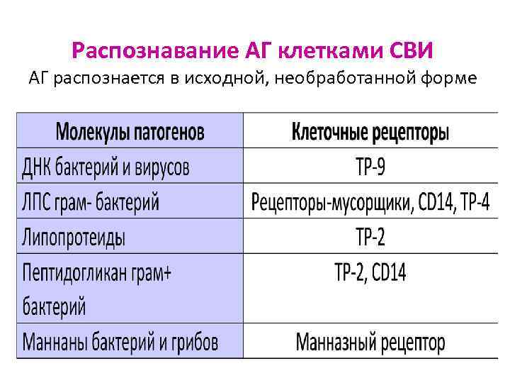 Распознавание АГ клетками СВИ АГ распознается в исходной, необработанной форме 