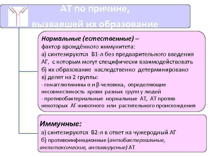АТ по причине, вызвавшей их образование Нормальные (естественные) – фактор врождённого иммунитета: а) синтезируются