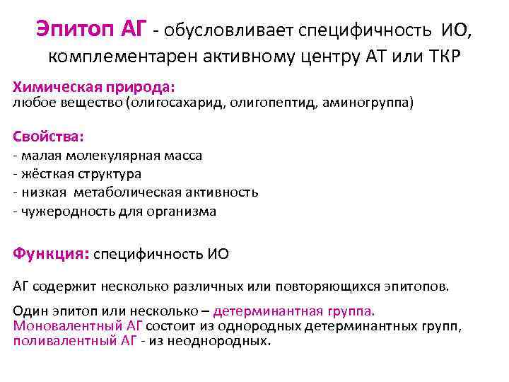 Эпитоп АГ - обусловливает специфичность ИО, комплементарен активному центру АТ или ТКР Химическая природа:
