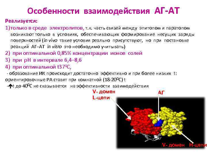 Особенности взаимодействия АГ-АТ Реализуется: 1) только в среде электролитов, т. к. часть связей между