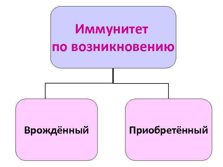 Иммунитет по возникновению Врождённый Приобретённый 