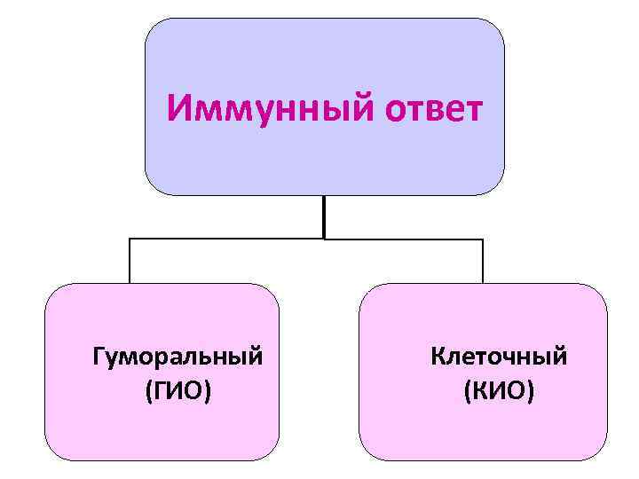 Иммунный ответ Гуморальный (ГИО) Клеточный (КИО) 