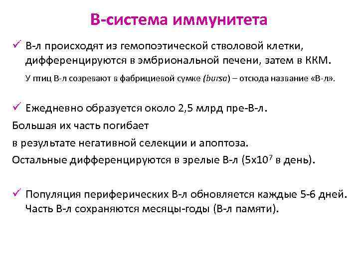 В-система иммунитета ü В-л происходят из гемопоэтической стволовой клетки, дифференцируются в эмбриональной печени, затем