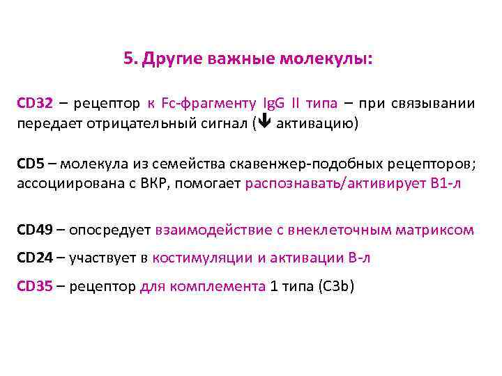 5. Другие важные молекулы: CD 32 – рецептор к Fc-фрагменту Ig. G II типа