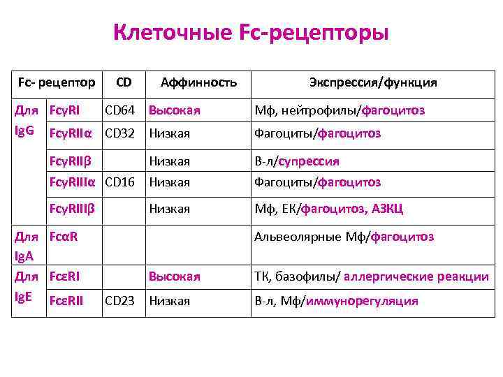 Клеточные Fc-рецепторы Fc- рецептор CD Аффинность Для FcγRI CD 64 Высокая Ig. G FcγRIIα