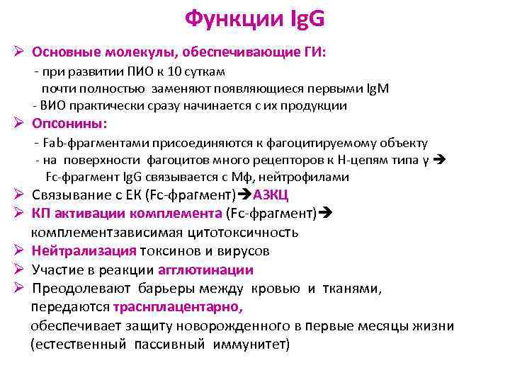 G functions. IGG функции. Ig g функция. Роль IGG. Ig a функции.