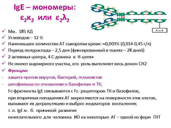 Ig. E – мономеры: ε 2κ 2 или ε 2λ 2 ü ü ü