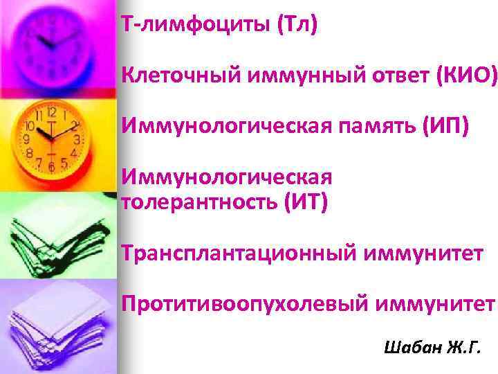 Т-лимфоциты (Тл) Клеточный иммунный ответ (КИО) Иммунологическая память (ИП) Иммунологическая толерантность (ИТ) Трансплантационный иммунитет