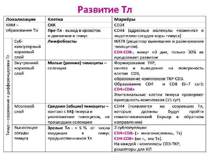 Развитие Тл 