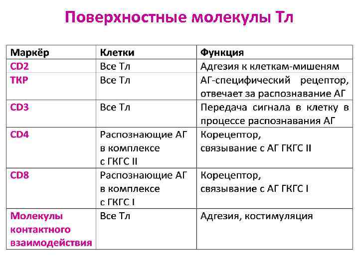 Поверхностные молекулы Тл 