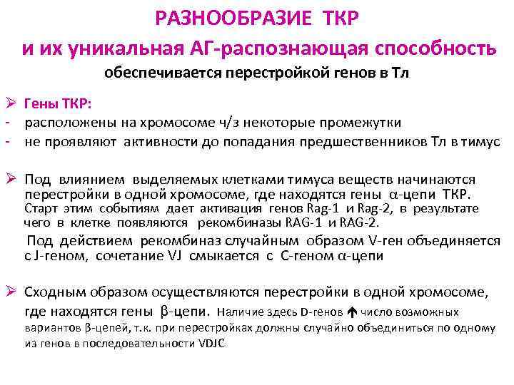 РАЗНООБРАЗИЕ ТКР и их уникальная АГ-распознающая способность обеспечивается перестройкой генов в Тл Ø Гены
