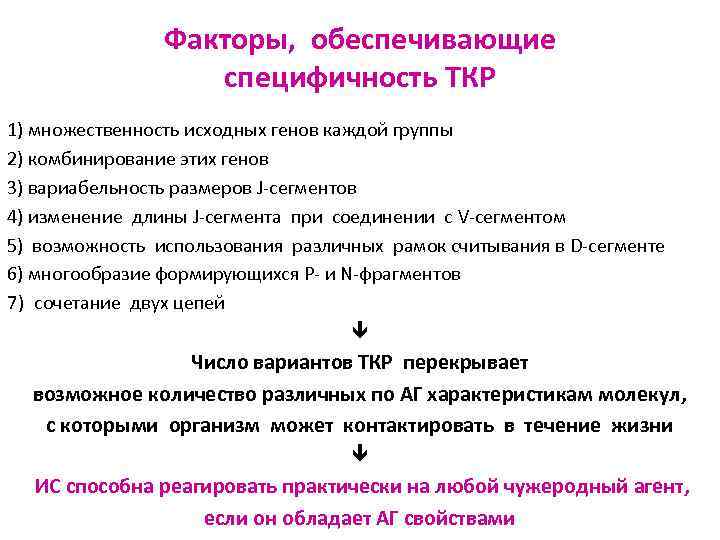 Факторы, обеспечивающие специфичность ТКР 1) множественность исходных генов каждой группы 2) комбинирование этих генов
