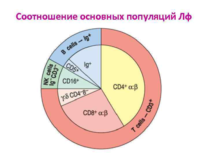 Соотношение к общему количеству. Соотношение к общему количеству