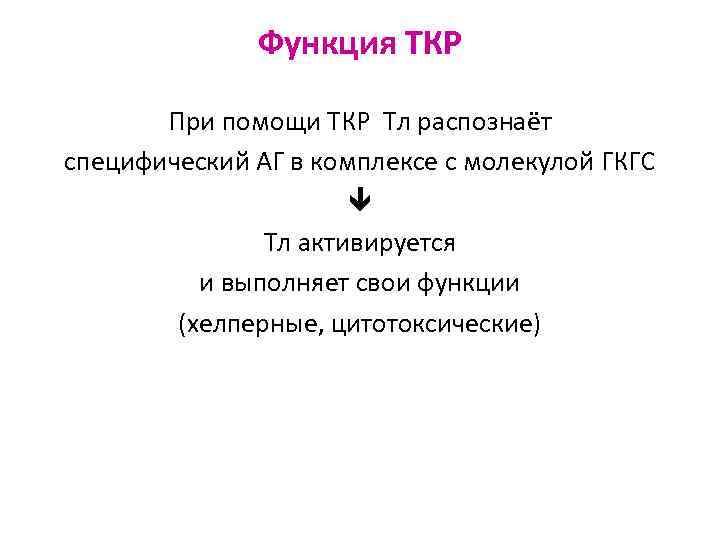 Функция ТКР При помощи TКР Тл распознаёт специфический АГ в комплексе с молекулой ГКГС
