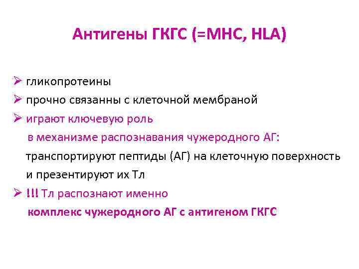 Антигены ГКГС (=МНС, HLA) Ø гликопротеины Ø прочно связанны с клеточной мембраной Ø играют