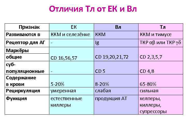 Отличия Тл от ЕК и Вл Признак Развиваются в Рецептор для АГ Маркёры общие