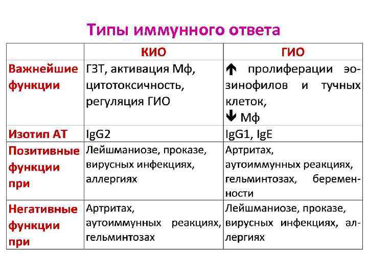 Типы иммунного ответа 
